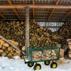 Bollerwagen 550kg grün