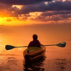 SUP Board Aluminium Doppel Paddel